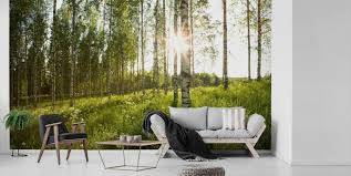 Birch Tree Wallpaper Wall Murals