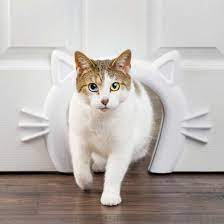 Cat Corridor Interior Pet Door By