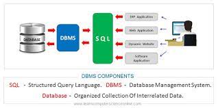 database monitoring services
