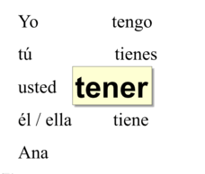 Spanish Verb Tener Lesson Plans Worksheets Reviewed By