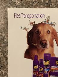print ad 1996 raid flea pets