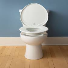 How To Remove A Bemis Toilet Seat