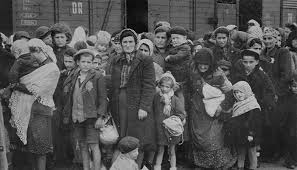 Image result for holocaust photos