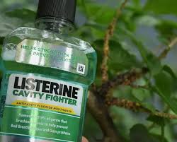 7 ways to use listerine in the garden