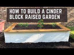 Cinder Block Raised Garden
