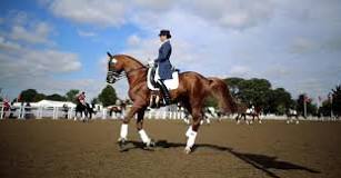 How much does an Olympic dressage horse cost?