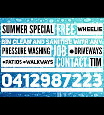 free wheelie bin clean with any