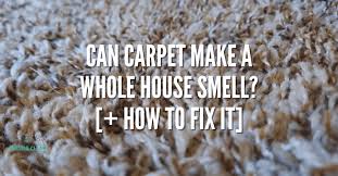 can carpet make a whole house smell
