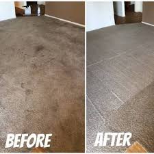 the 1 commercial carpet cleaning in