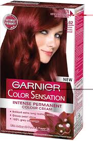Super Brunette Hair Color Chart Fresh Garnier Color