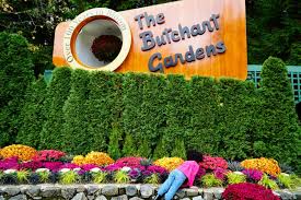 the butchart gardens victoria