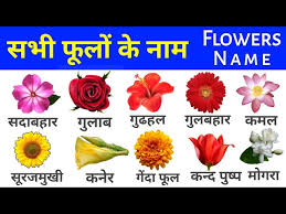 name of flowers flower names