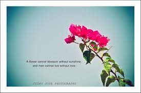 If i told you that a flower bloomed in a dark room, would you trust it? Thankful Quotes For Flowers Quotesgram