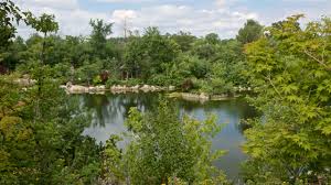 frederik meijer gardens and sculpture