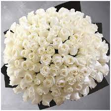 clic white roses