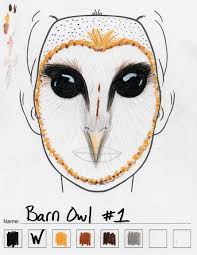 barn owl makeup sketch 1 weasyl
