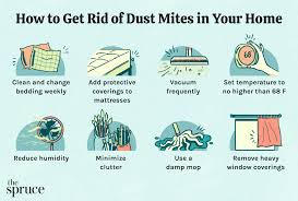 12 ways to get rid of dust mites in