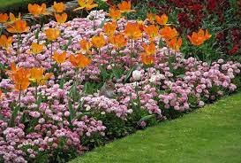 Low Maintenance Flower Bed Ideas To
