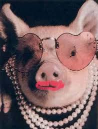 you can t put lipstick on a pig