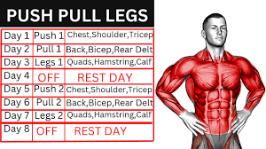 push pull legs workout plan ppl you