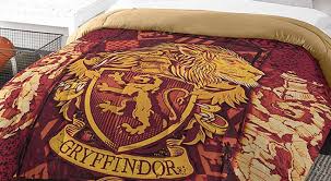 Every Harry Potter Fan Needs These