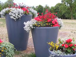 Outdoor Planter Ideas For Your Garden