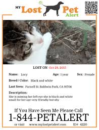 You can turn these professionally designed cat posters into missing cat posters, funny cat posters like customizing a cat poster only takes a few steps. Free Services My Lost Pet Alert