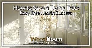 The key is to understand a few important principles while making sure to protect your trees from weather and physical harm. How To Save A Dying Tree Easy Tree Health Success Worst Room