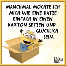 If you don't know anything about minion, then you can what all movies of minions. 900 Minions Ideen Minions Spruche Lustige Spruche Minion Witze