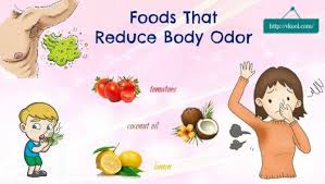 10 Foods That Reduce Body Odor You Should Know