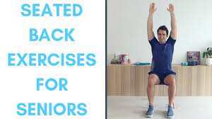 seated lower back exercises for seniors
