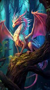 fierce dragons anime art wallpapers