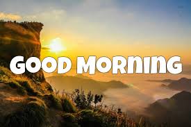 Good Morning Good Night Whatsapp Status Video And Messages