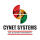 Cynet Systems logo