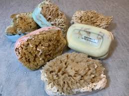 milk soaps with sea sponge