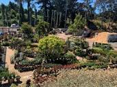 Hana Gardens - Del Rey Oaks