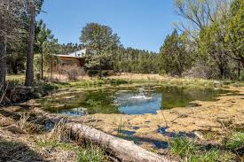 130 acres of land in ruidoso