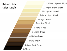 10 Veritable Hair Color Volume Chart