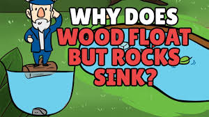 why does wood float but rocks sink