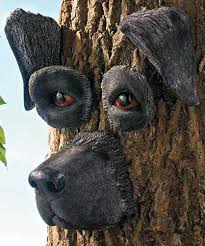 Image result for dogface trees..