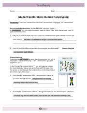 A karyotype is a picture showing a cell's. 14 2 Lab Docx Name Date Student Exploration Human Karyotyping Vocabulary Autosome Chromosomal Disorder Chromosome Karyotype Sex Chromosome Prior Course Hero
