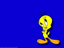 free tweety bird wallpapers wallpaper