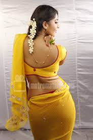 y south indian actress photos
