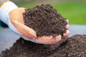 using peat moss on lawn
