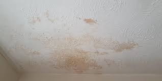 condensation stain on ceiling why it