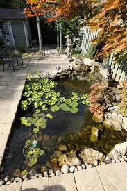 100 Backyard Pond Ideas To Inspire Your