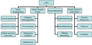 Organizational Structure Chart Of Flipkart