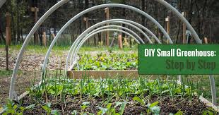 diy small greenhouse step by step