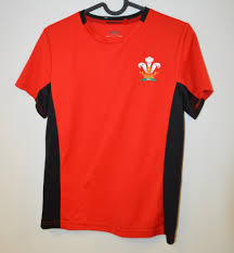 lsr41463 childs wales rugby training