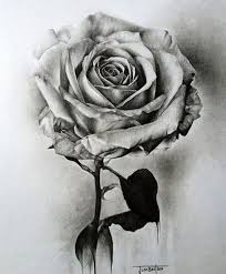 You can make a drawing of a rose by following some simple steps. 45 Beautiful Flower Drawings And Realistic Color Pencil Drawings Beautiful Flower Drawings Flower Drawing Realistic Color Pencil Drawings